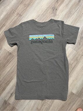 Patagonia Gray Short-Sleeve Tee with Multicolor Stripe Mountain Logo